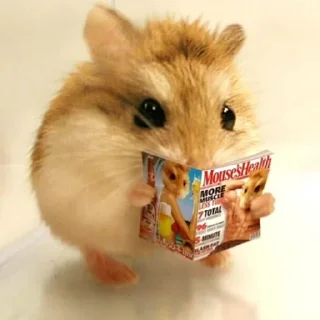 📖