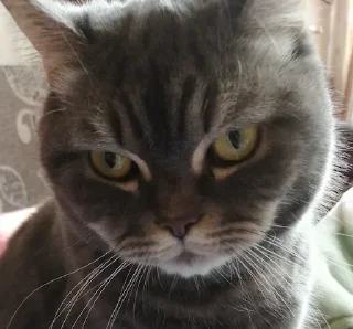 🤨