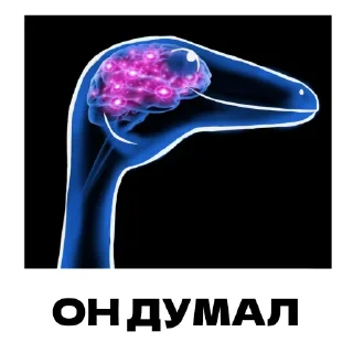 ⚰