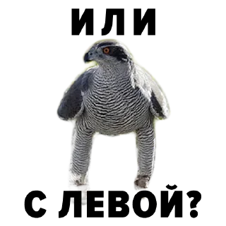 😎