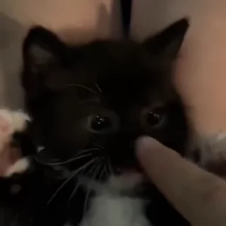 ☺️