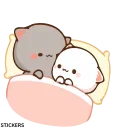 😽