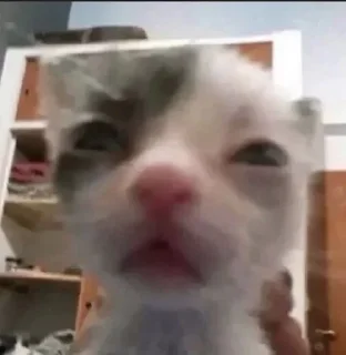 😐
