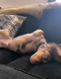 🤪