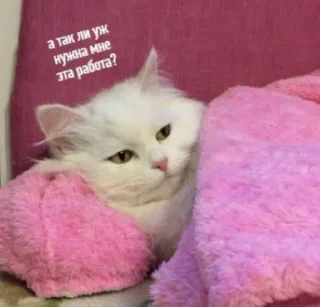 😕
