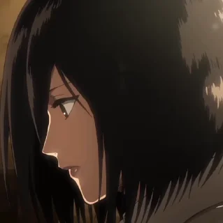 🪵