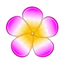 🌸