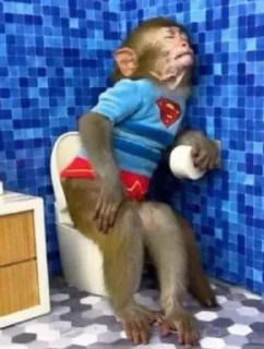 🚽
