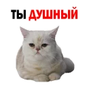 😕