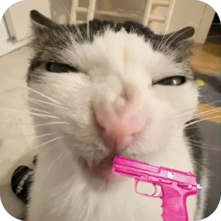 😡