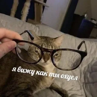 🤬