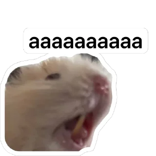 🫥