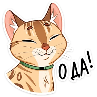 👍