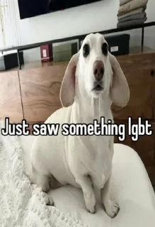 😒
