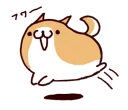 🐶