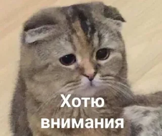 😣