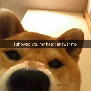 ❤
