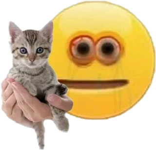 😯