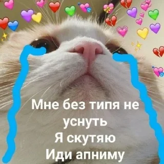 😭