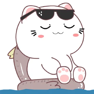 😎