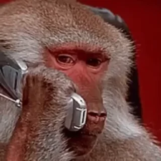 📞
