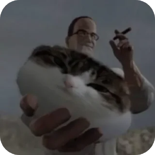 ✋