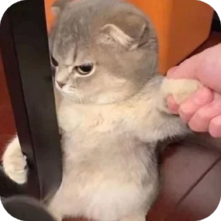🫥