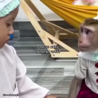 🐵