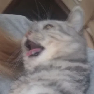 😵