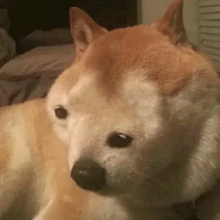 🤪