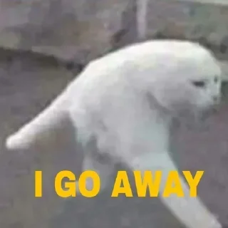 🚶