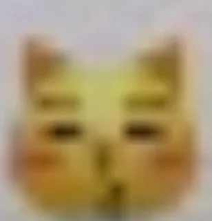 😽