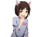 😼