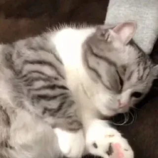 🥰
