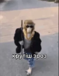 😎