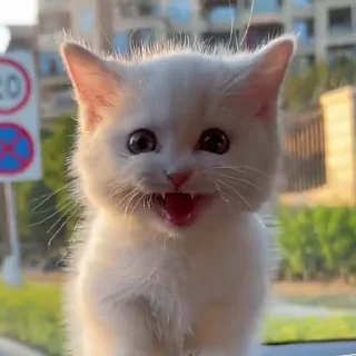 🥰