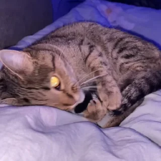 ❤