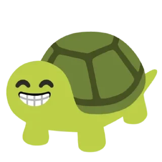 🐢