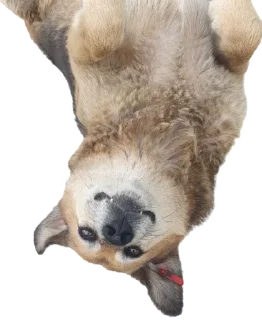 😜