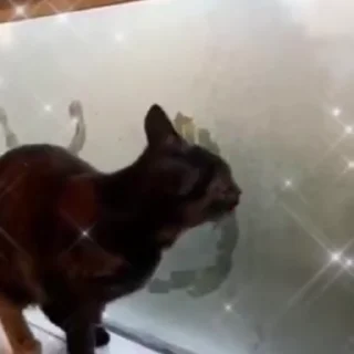 😱