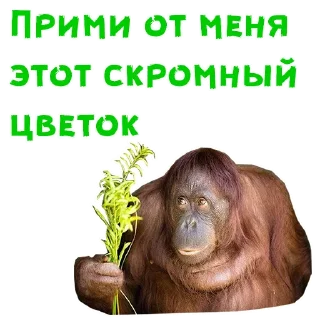 🌾