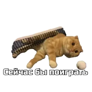 🥺