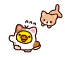 🐤