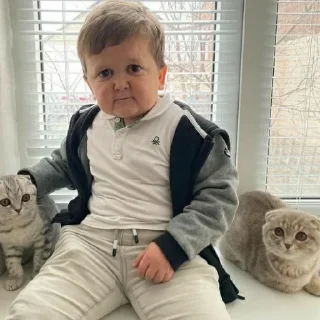 😅