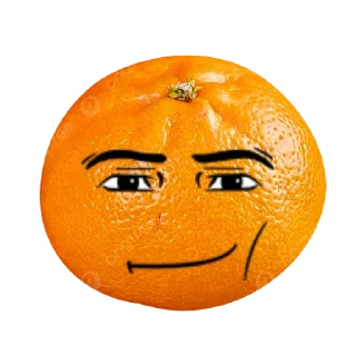 🍊