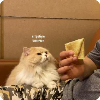 🥞