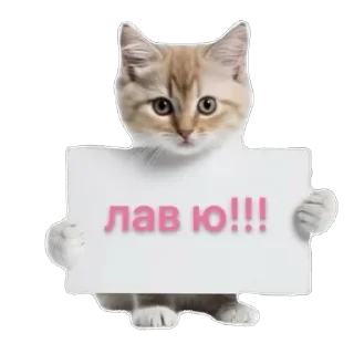 ❣️