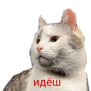 😐