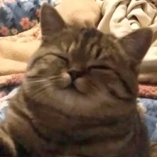 ☺️