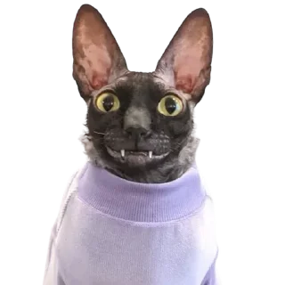 👚